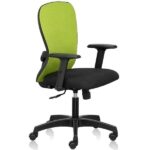 Smart Mid Back chair with adjustable lumbar, high tensile breathable natural fabrics & adjustable arms - Green