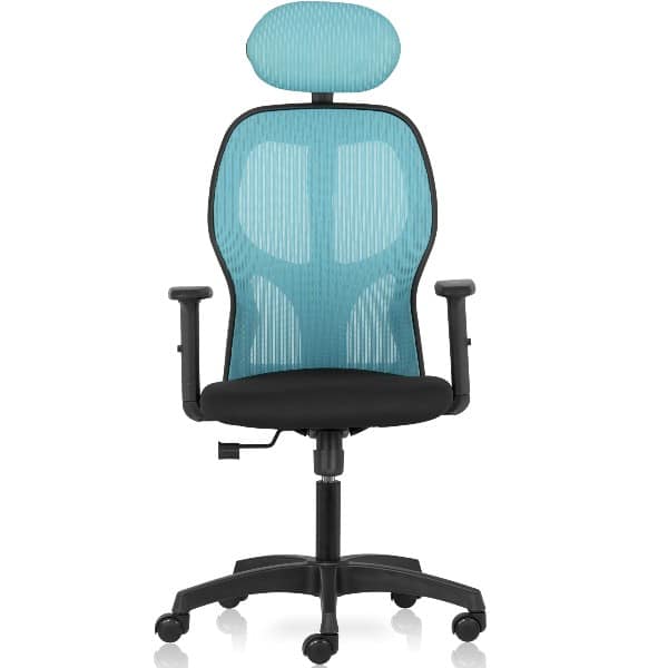 IWeb High Back Mesh Office chair with adjustable arms