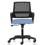 Iexpress Low Back Chair with Mesh back and fixed arms