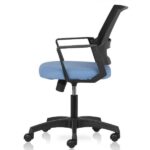 Iexpress Low Back Chair with Mesh back and fixed arms